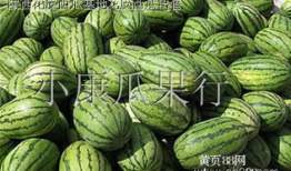 山西运城吃瓜爆料视频,揭秘当地独特美食文化