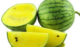 化妆师吃瓜爆料图片大全,吃瓜爆料图片大全背后的秘密